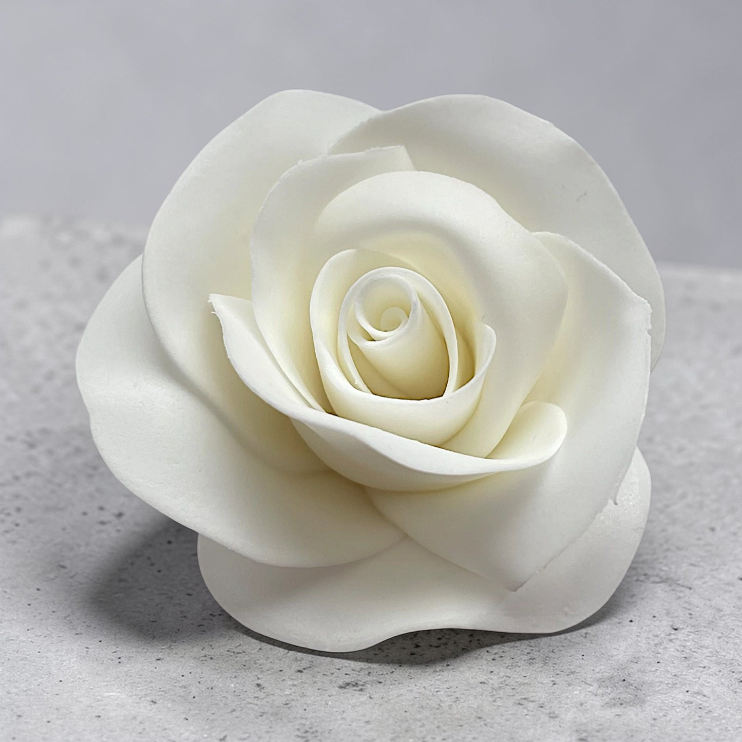 White Sugar Rose