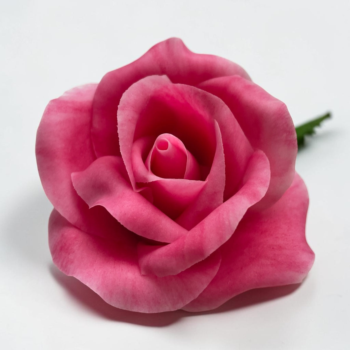 Sugar Roses