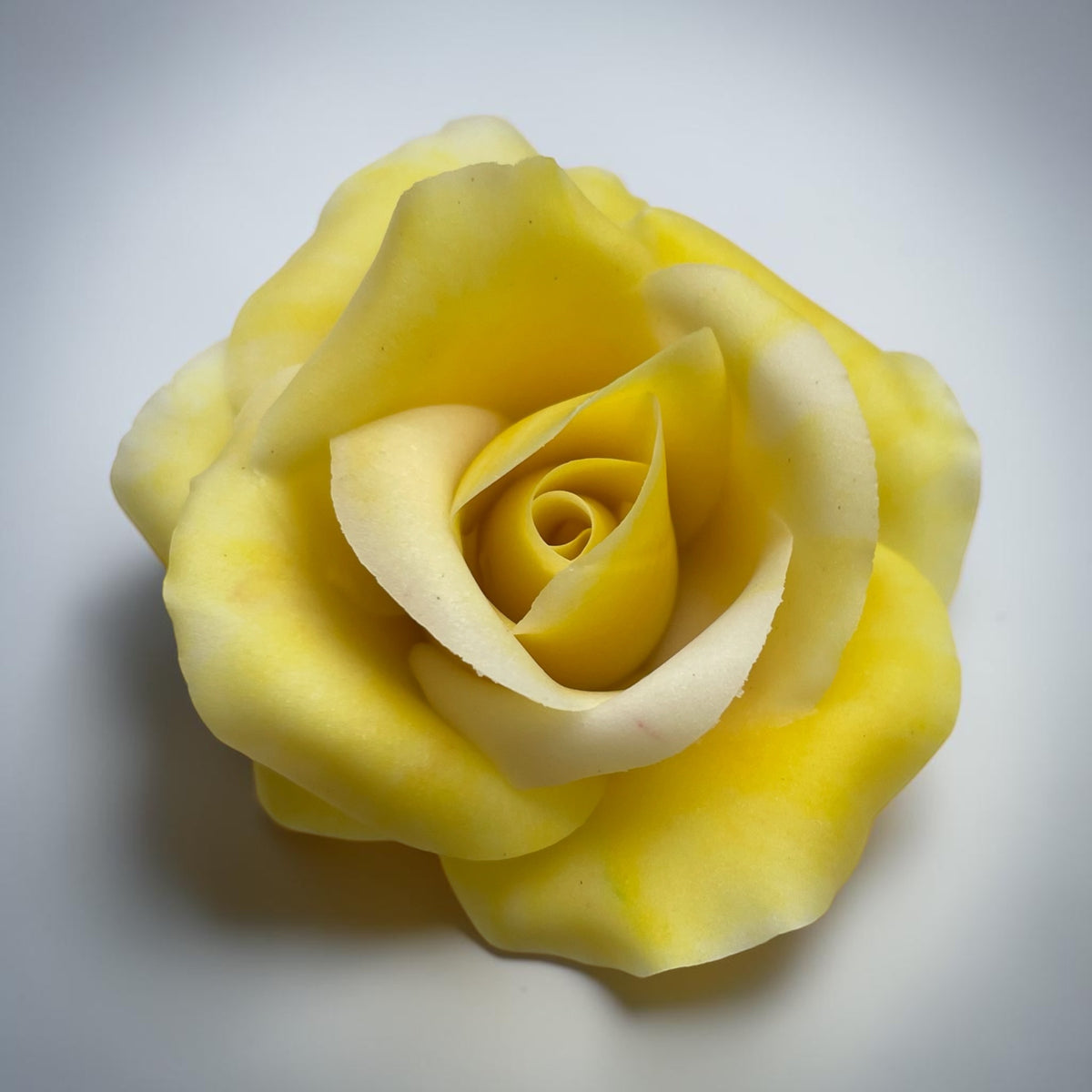 Sugar Roses