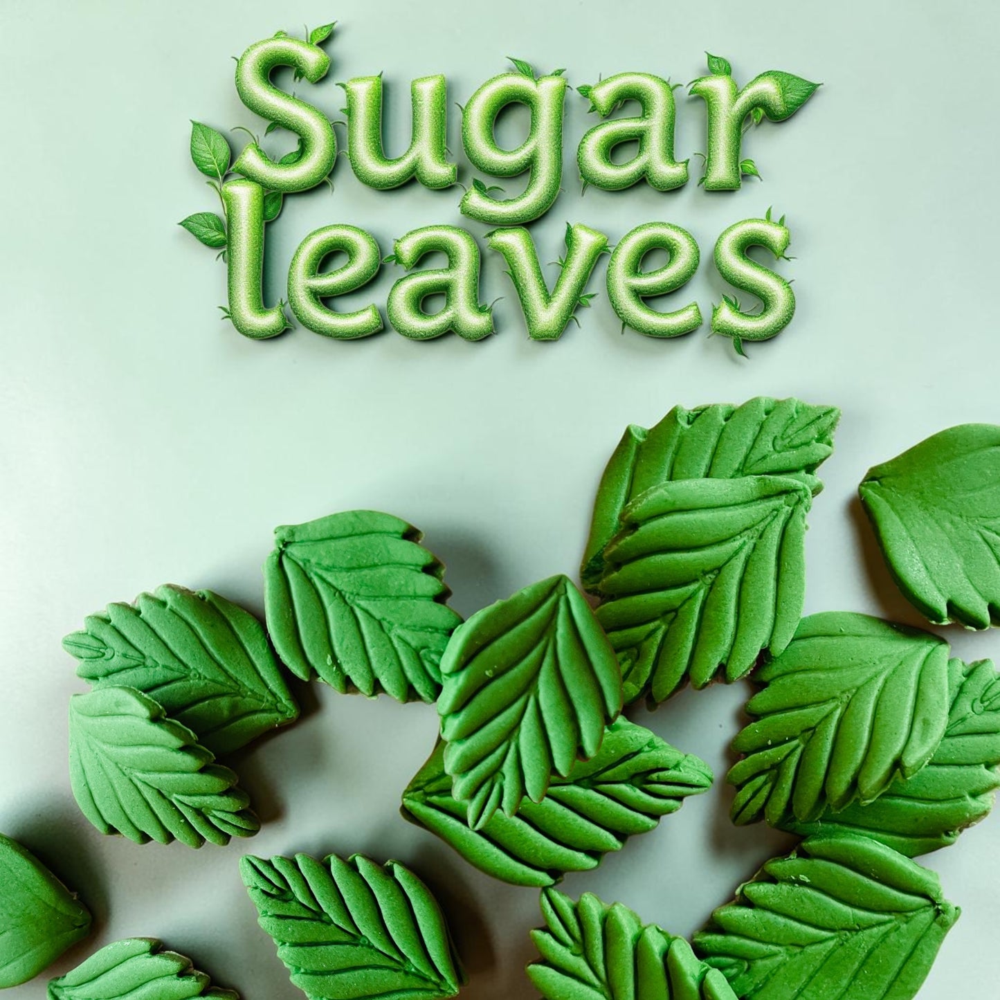 Sugar Leaves