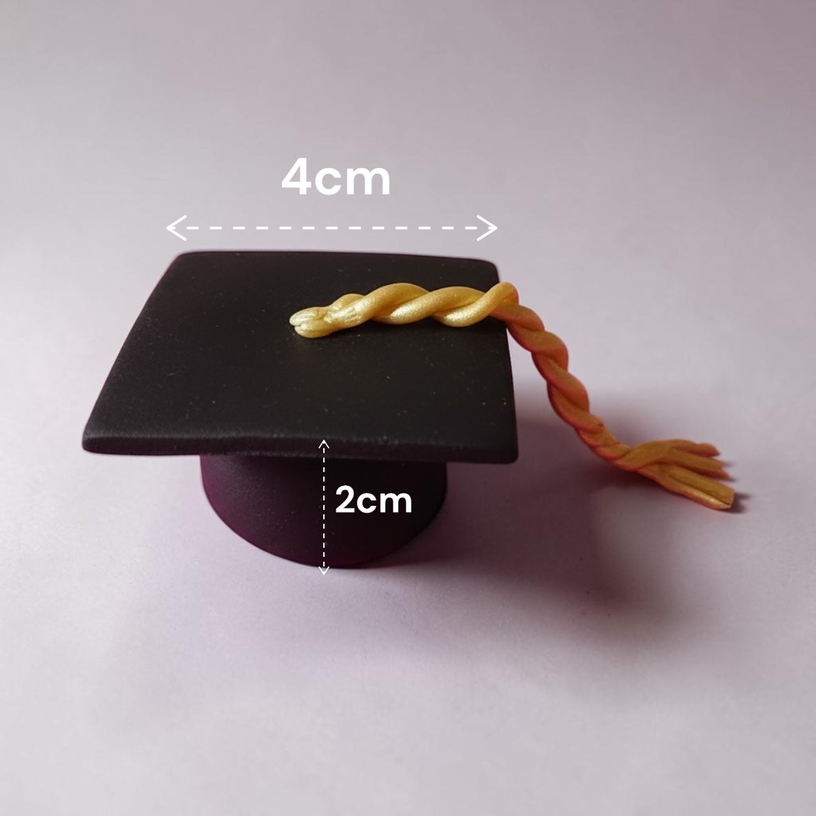 Graduation Cake Topper