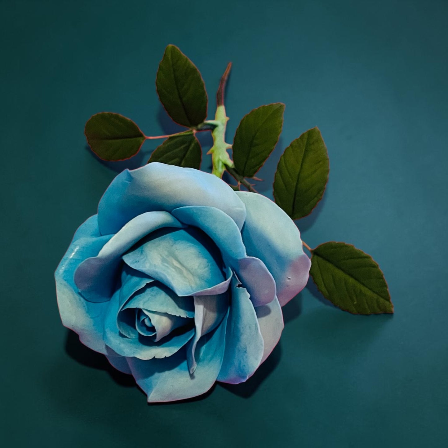 Sugar Rose Gift