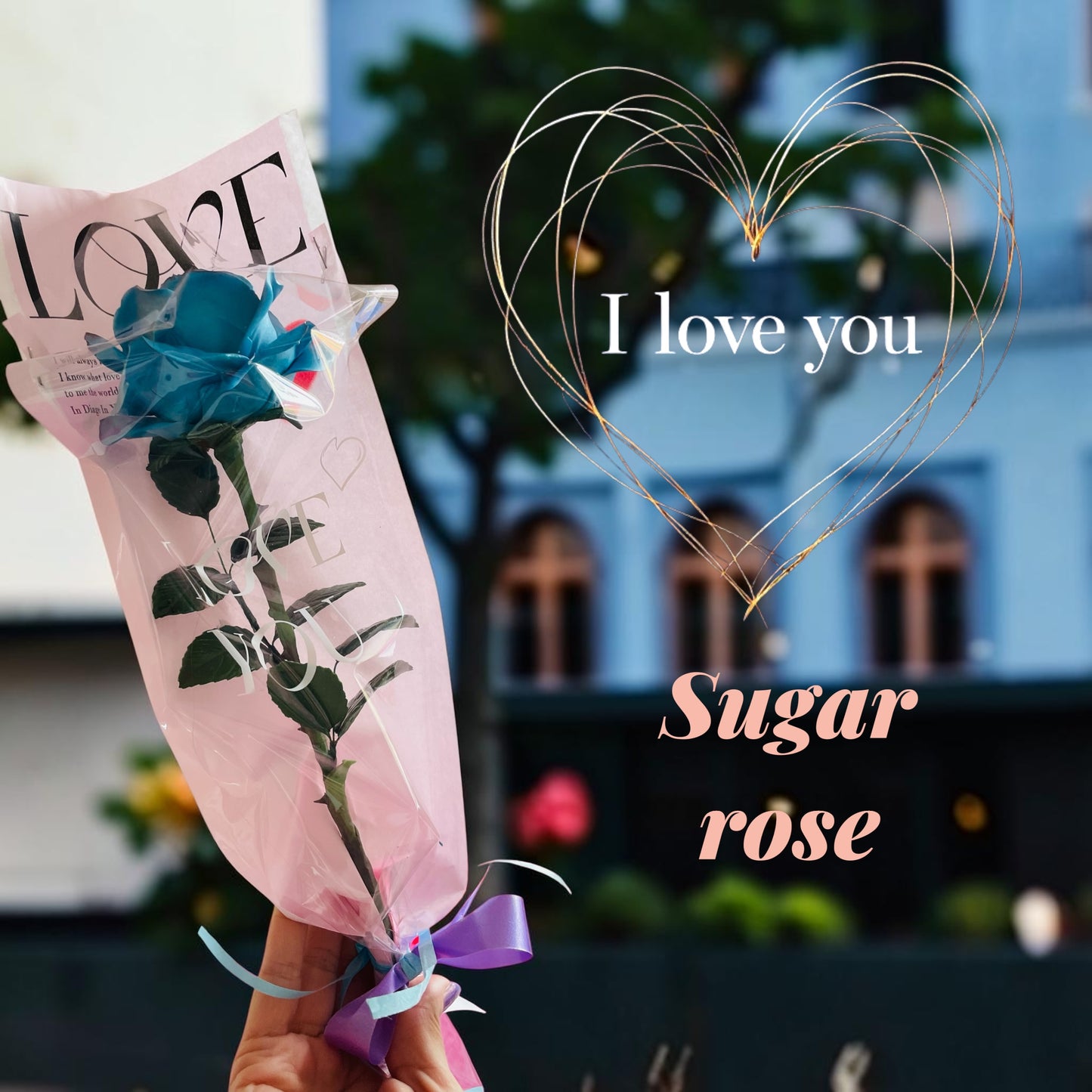 Sugar Rose Gift