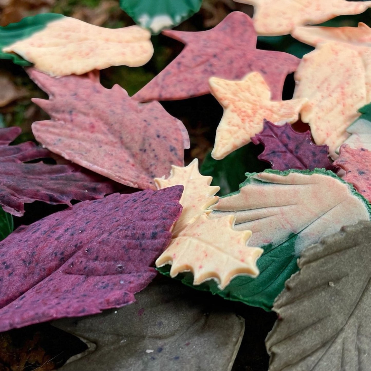 Autumn Leaves