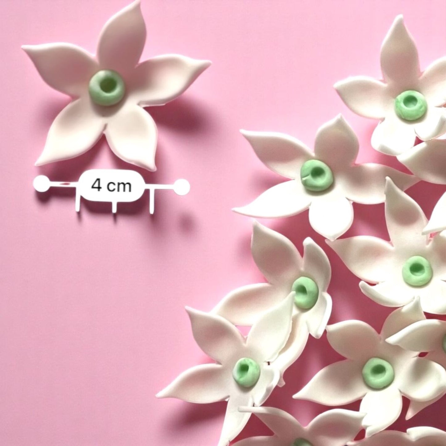 Flower Jasmine