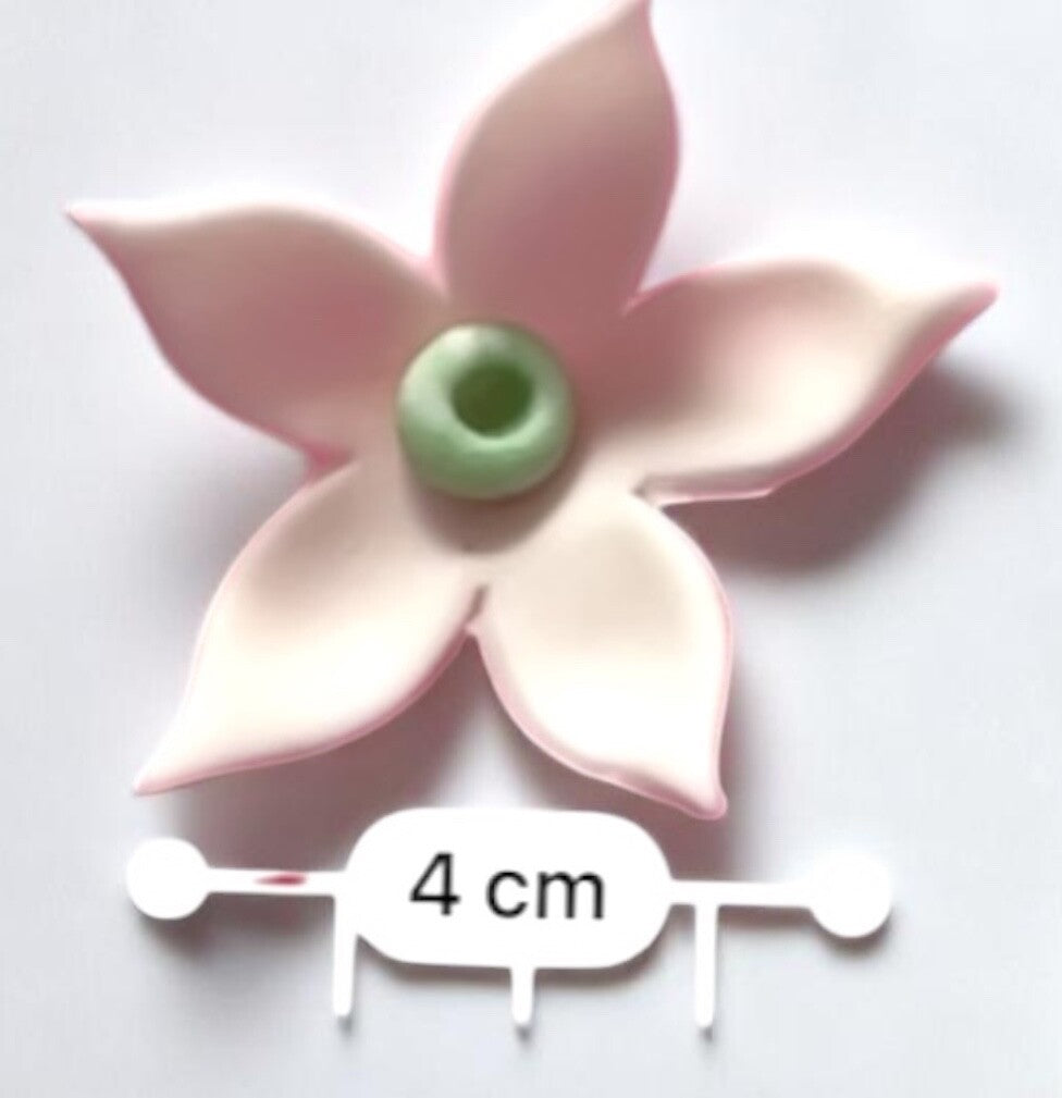 Flower Jasmine