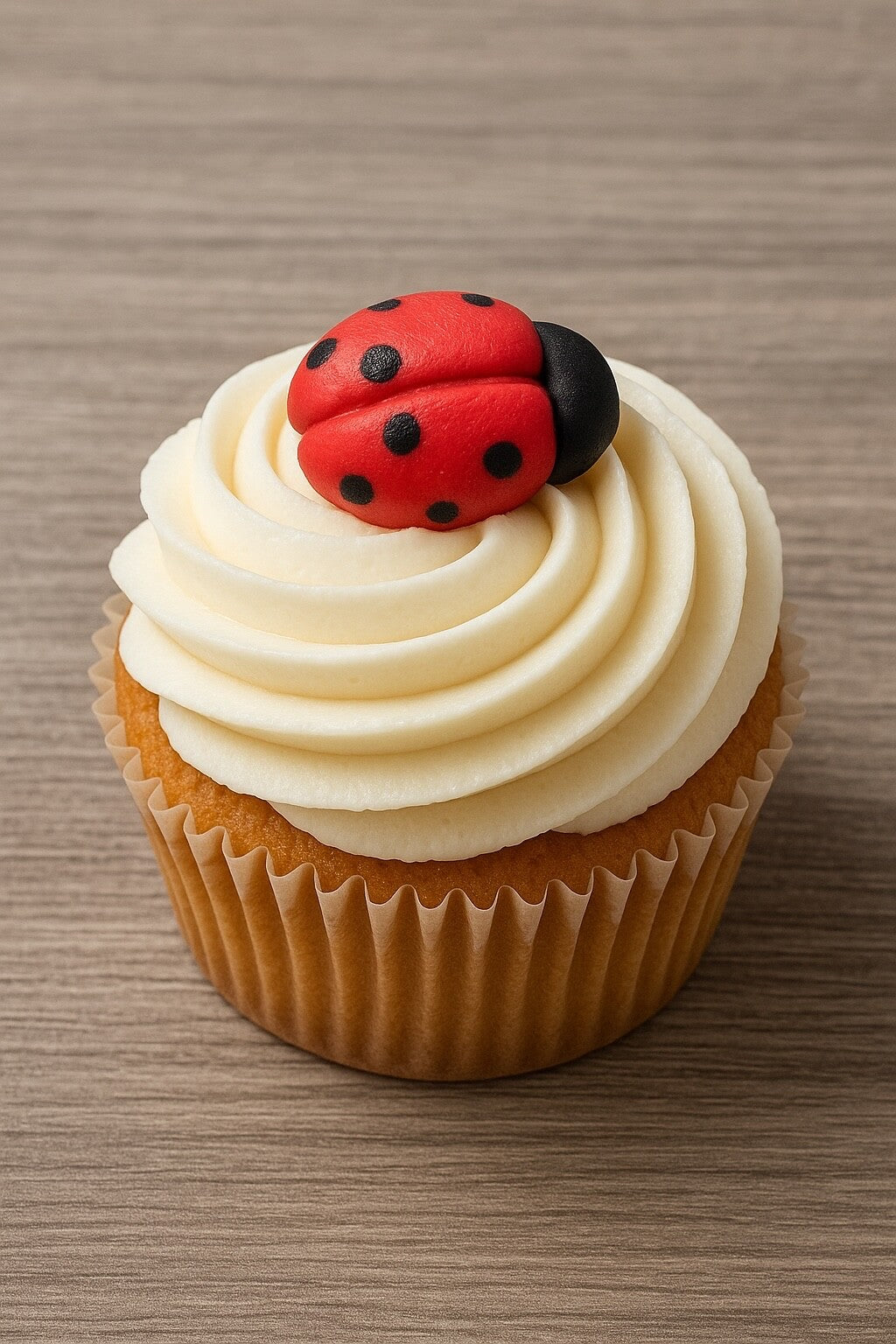 Ladybugs