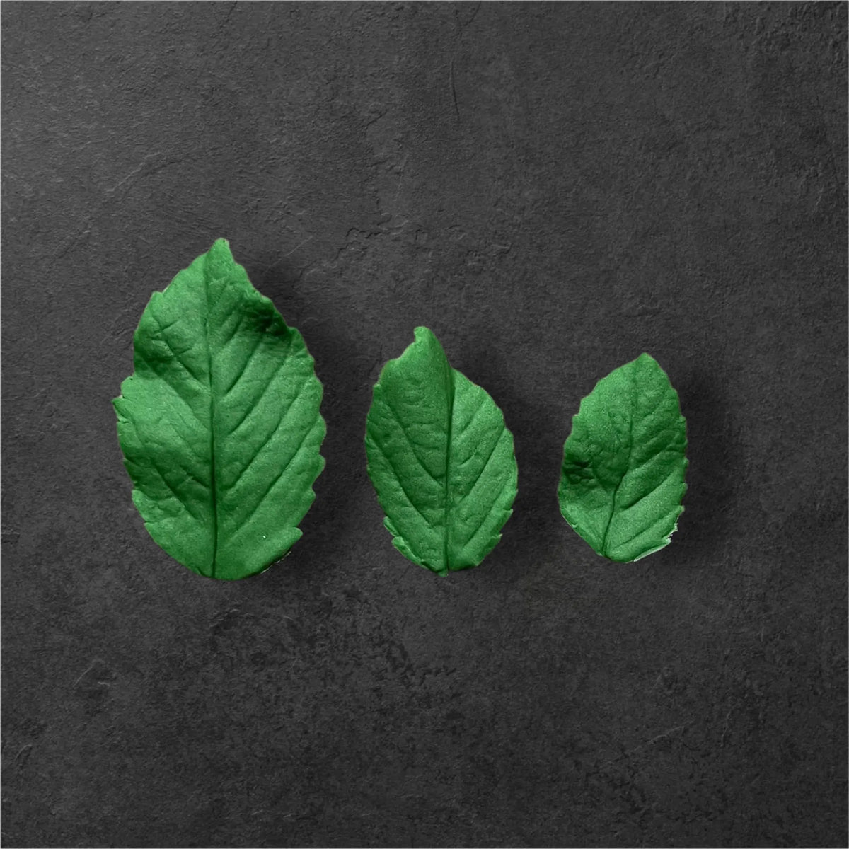Sugar Paste Leaves