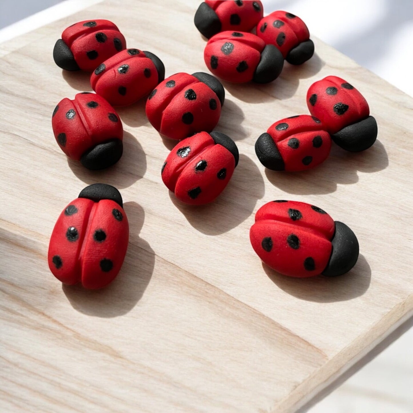 Ladybugs