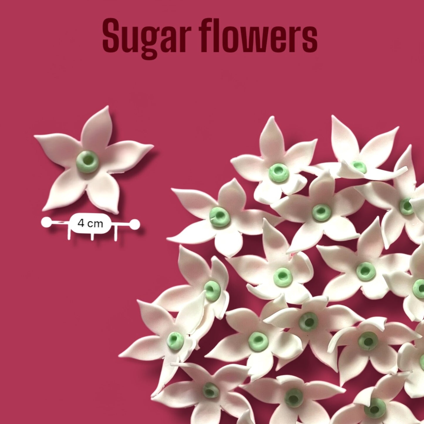 Flower Jasmine