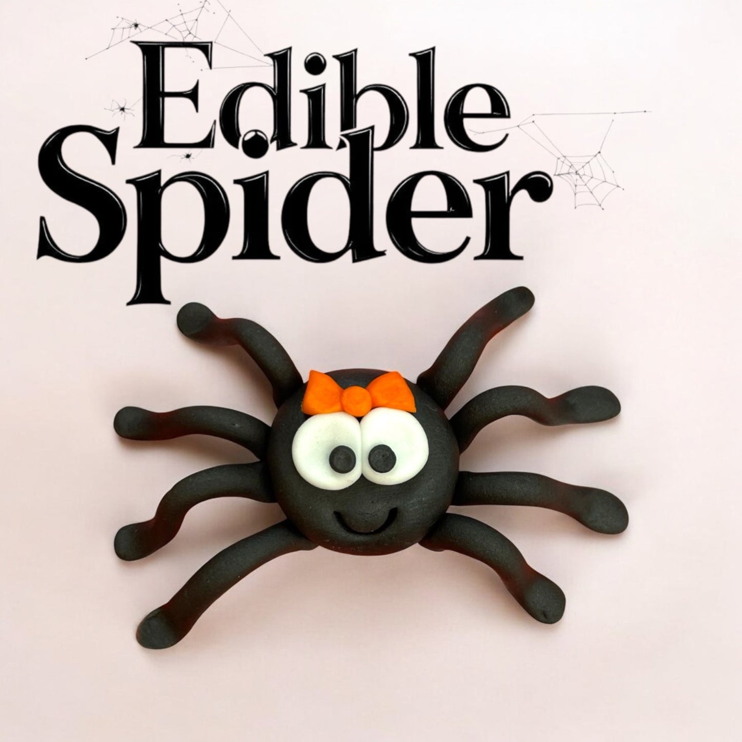 Cute spider
