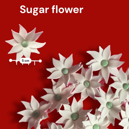 Sugar Paste Flower Jasmine F02