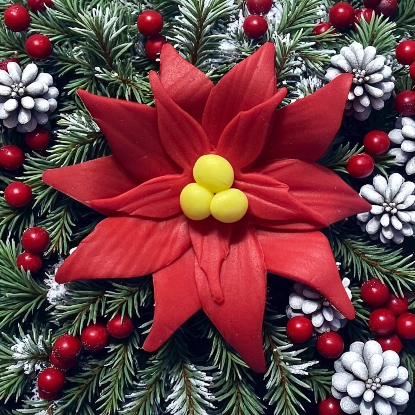 Poinsettia